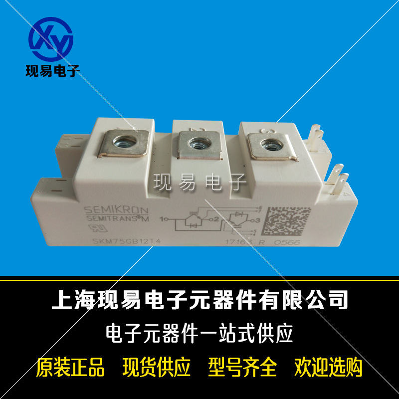 SKM50GB12T4 SKM50GB123D SKM50GB12V德國西門康功率IGBT模塊現貨