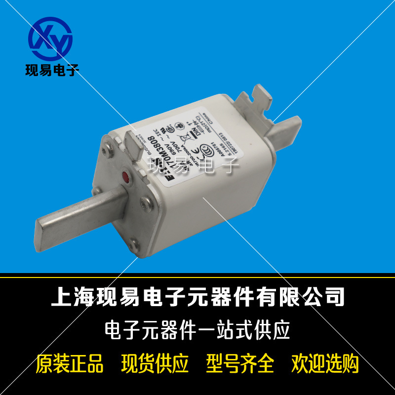 170M3808 170M3809 170M3810 170M3811全新巴斯曼熔斷器原裝現貨
